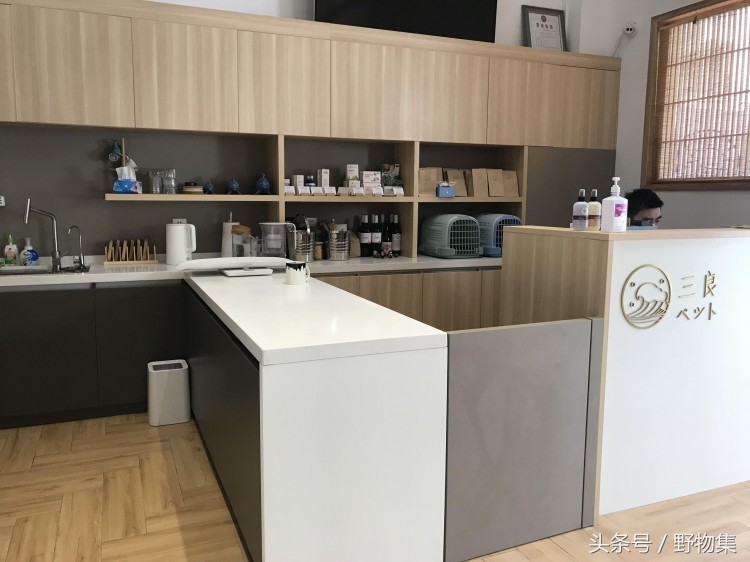 在佛山遇见这家日式宠物店后其他千篇一律的店都成了将就