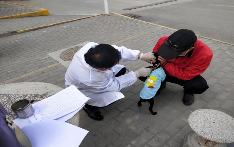 咸阳市‬秦都区‬马泉街道茂东社区开展狂犬疫苗免费注射活动