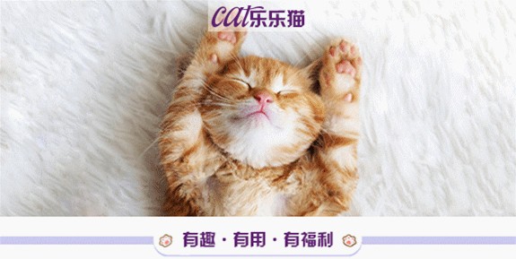 这样给主子喂猫粮！我不清楚你到底是在爱它还是想害它