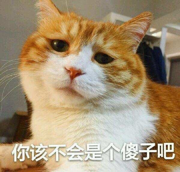 驾车在路上碰到橘猫碰瓷差点被吓哭